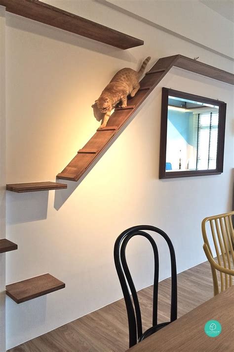 renter friendly cat shelves|10 DIY Cat Shelf Ideas to Create Your Own Cat Wall。